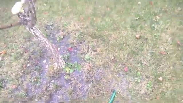 ОБРАБОТКА САДА ОСЕНЬЮ ЖЕЛЕЗНЫМ КУПОРОСОМ - ВЛАГОЗАРЯДНЫЙ ПОЛИВ смотреть онлайн