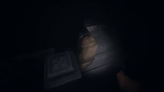 БАГ СОЛИ В Phasmophobia 0.25.5 смотреть онлайн