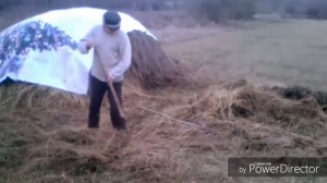 ❤️ Кормление коз зимой. 25 декабря мы возим сено козам.