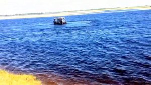 Испытание на воде .Пелец круизер 640