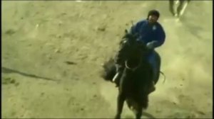 Самый быстрый лошадь в мире и их цена