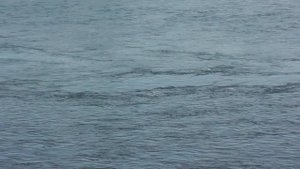 Агым су.Ралиф Ибрагимов жырлый.