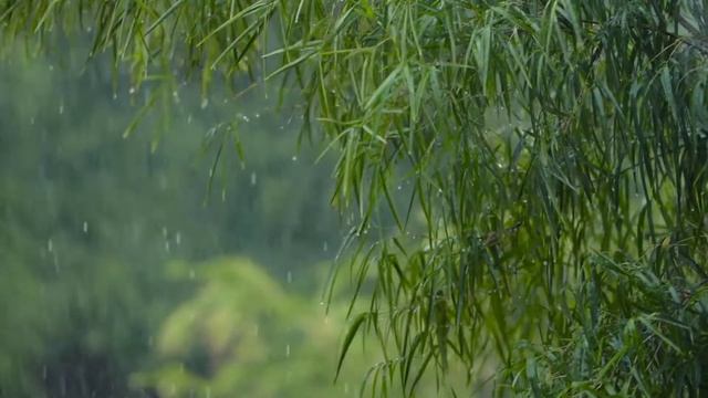 Шум дождя Релакс Rain noise Relax смотреть онлайн