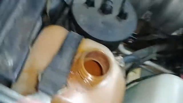 Почему кипит нива. Почему кипит нива