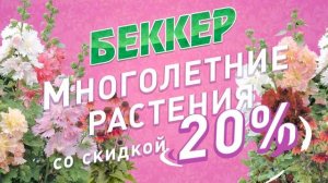 Восхитительные многолетники! -20% на все сорта. Многолетние цветы Весна 2021 | 400 сортов на выбор!