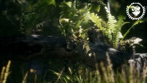 Monolink - Kerala Dust - Nu - Dwig - Be Svendsen 《 EVERGREEN 》 Organic House, Melodic House