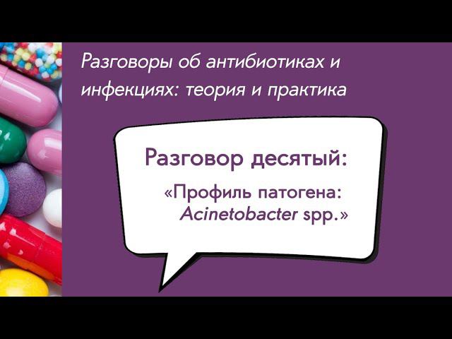 Вебинар «Профиль патогена: Acinetobacter spp.»