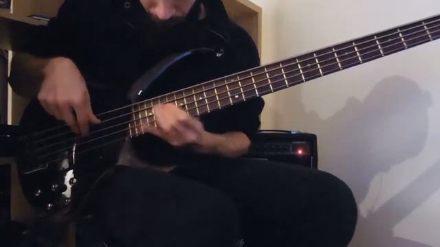 Their Dogs Were Astronauts - Serendipity (Synth Solo) // Bass cover // Ibanez BTB смотреть онлайн