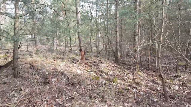 ГСВГ. Forst Zinna.Место где стоял танк на постаменте 10.03.2024