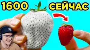 Еда, Которая Раньше Выглядела Иначе ► ВТФАКТ | Реакция