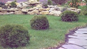 ?Ландшафтный дизайн в Саду Удивительные идеи для вдохновения / Original garden ideas / A - Video