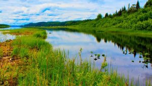 relax музыка и видео для релаксации природа севера лето