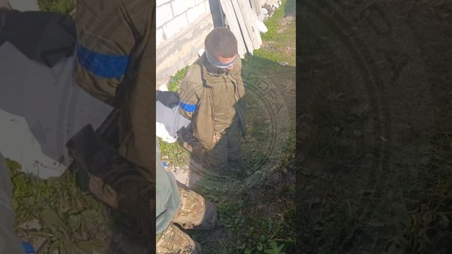 Курская область, район н.п. Спальное