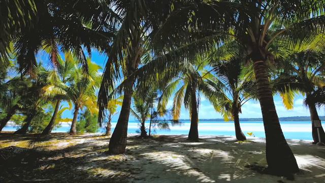 1 Hour of Indian Sitar Music | Music for sleeping | For Sleep, SPA, Relaxing | Sleep Meditation смотреть онлайн