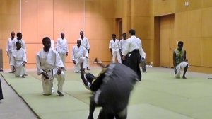 Aikikai instructional tour in Nairobi 2016