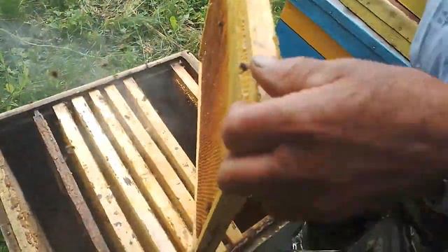 Как Исправить трутовку Матку. смотреть онлайн