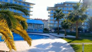 Сочи Парк Отель зимой декабрь