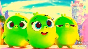 Птичий остров? Это Свиной остров, глупенькие а Птичий остров вон там!