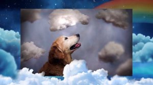 Мост радуги