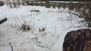 Смоленск. Откачка ЖБО. Незаконный слив отходов в колодец на улице Кашена 20