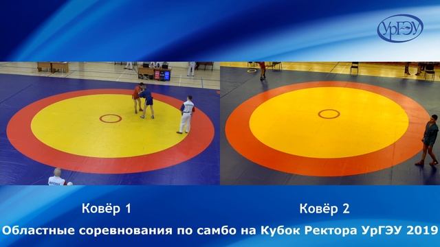 Областные соревнования по самбо среди юношей 15-16 лет на Кубок Ректора УрГЭУ смотреть онлайн