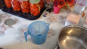 Маринованные помидоры с мятой и чесноком !