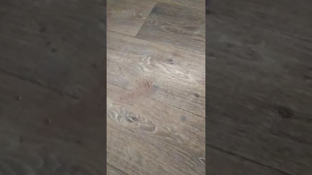 Как защитить новые полы во время чернового ремонта? смотреть онлайн