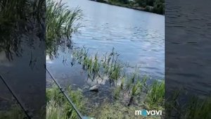 Рыбалка в Федюково