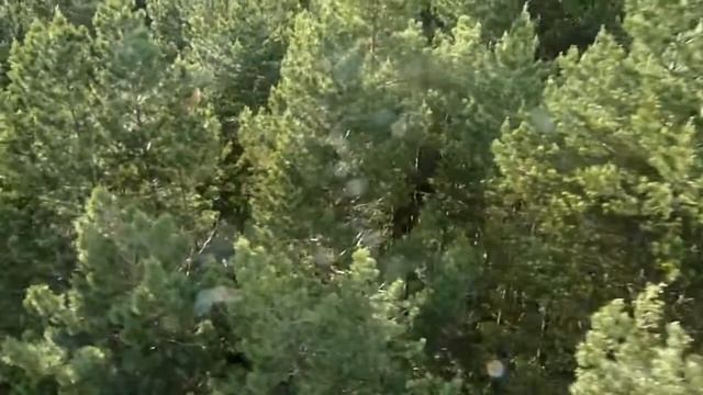 Кисловодск. Канатная дорога смотреть онлайн