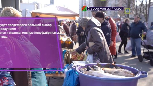 В Старом Осколе пройдёт сельскохозяйственная ярмарка смотреть онлайн