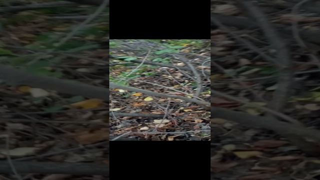 позитивное видео часть 4
