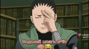 за столом сидят однако 12 знаков зодиака