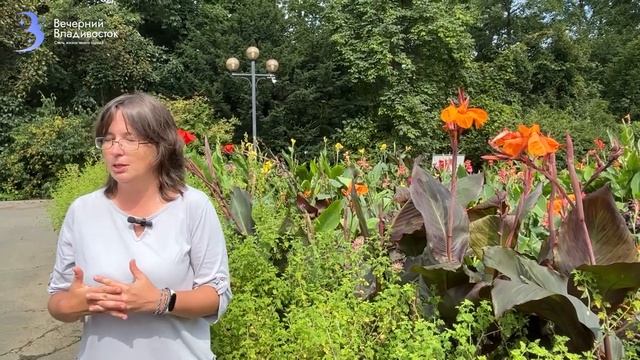 Сказочное цветение! Ботанический сад во Владивостоке, сентябрь 2023 смотреть онлайн