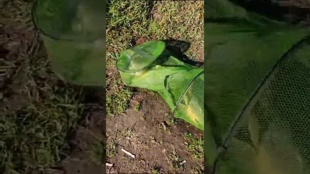 10 июня 2023 г. смотреть онлайн