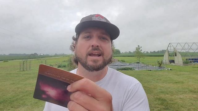 Back 2 Inspired Action From Interself - Energy Oracle смотреть онлайн