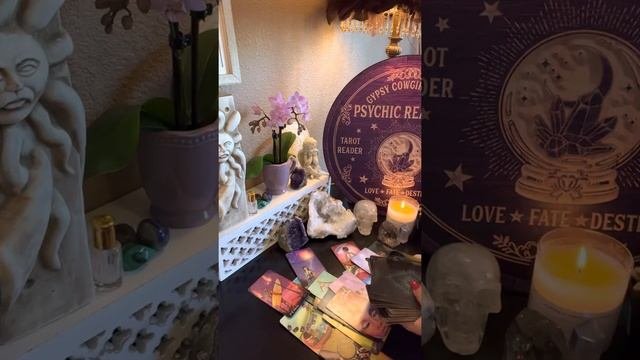 The Stars Have Aligned & Gravity Wins Again!!⚡️”They’ve Fallen”✨Twinflame/Soumate Reading???