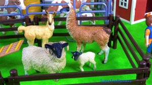Farm Animals - Toys for Kids - Cows Goats Sheep Llamas - Fun & Educational - Learn in English