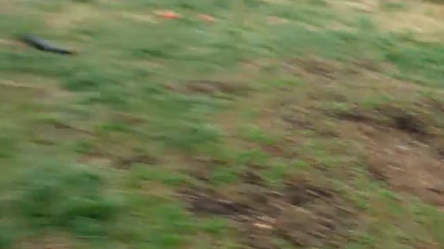 Щенки среднеазиатской овчарки, 6 с половиной месяца . ПРОДАЖА смотреть онлайн