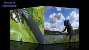 Бесплатная рыбалка карася, в черте города Мытищи.Большой Рупасовский пруд.