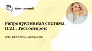 Репродуктивная система. ПМС. Тестостерон