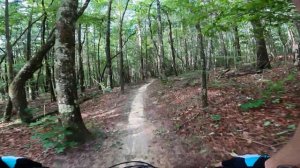 DuPont State Forest, Ridgeline (chest cam) after Tropical Storm Fred