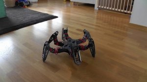 Робот-паук PhantomX