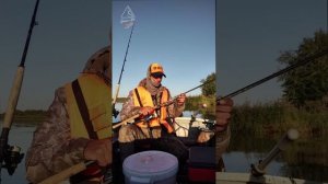 Сентябрьский судак и щука на Ладоге