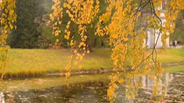 Почему Я не погибла вместе С НИМИ, КАК теперь ЖИТЬ смотреть онлайн