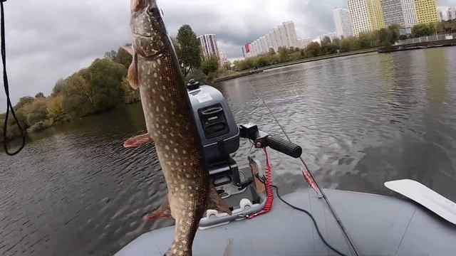 "Где живем-там и ловим!" Химки. Канал им. Москвы (часть 6) смотреть онлайн