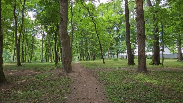 Широкоугольный объектив Samsung Galaxy S23 Ultra Globa l- 4K 60 FPS + gyro-EIS смотреть онлайн