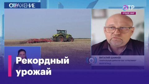 Виталий Шамаев: «В стране низкие цены на зерно, при этом мясо в магазинах нисколько не подешевело»