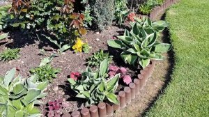 Самые лучшие сочетания из многолетников для бордюра