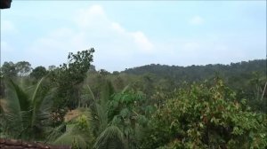 Sony DSC HX300 50X Zoom Test - Super Zoom Camera