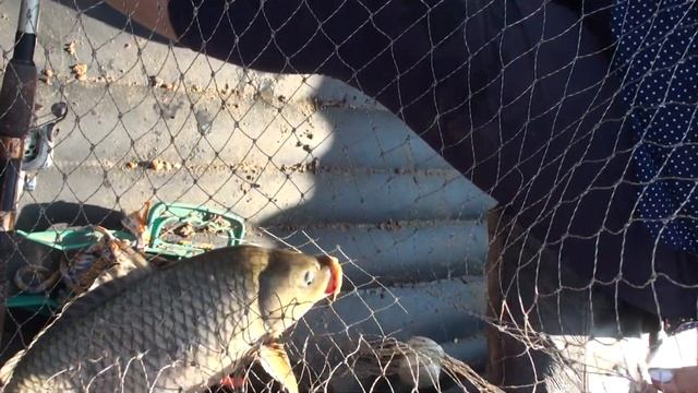 Рыбалка в Киприно. Продолжение.... День второй и т.д..... смотреть онлайн